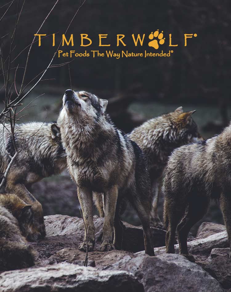 草本魔力Timberwolf